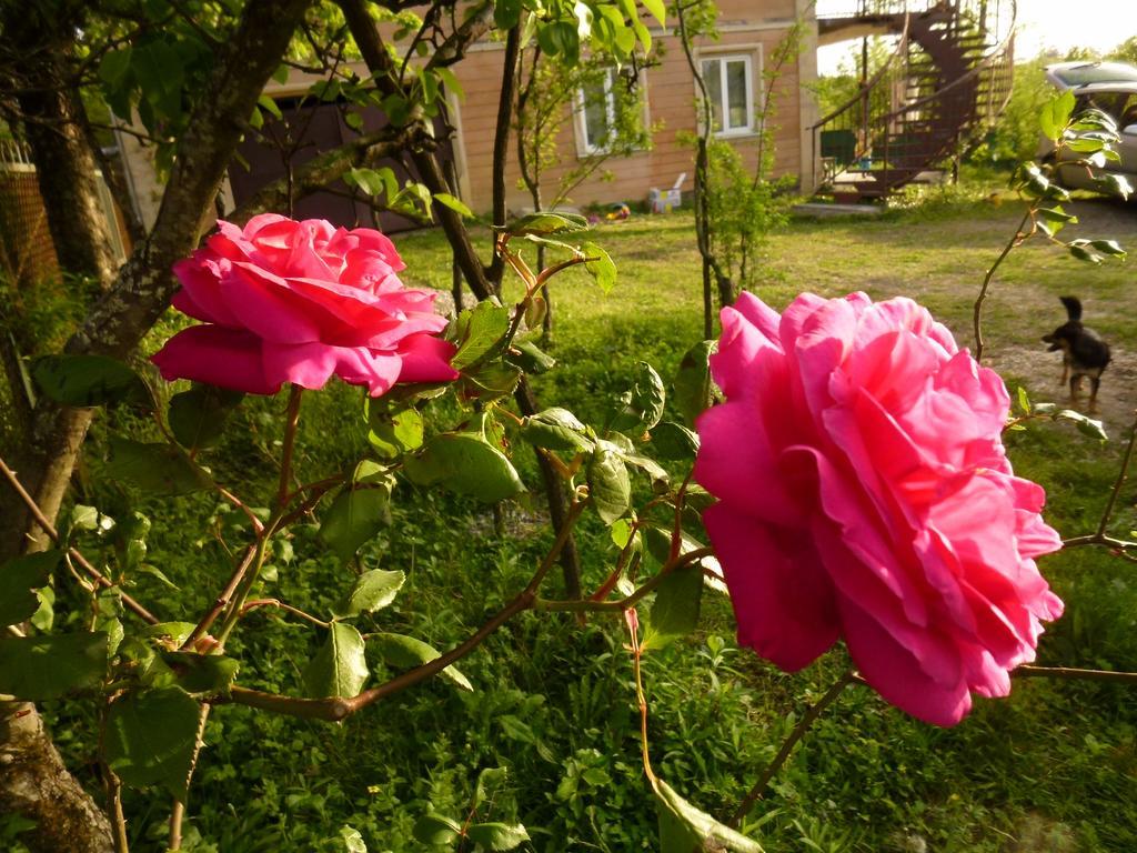 Country House Uliana Ckaltubo Zewnętrze zdjęcie