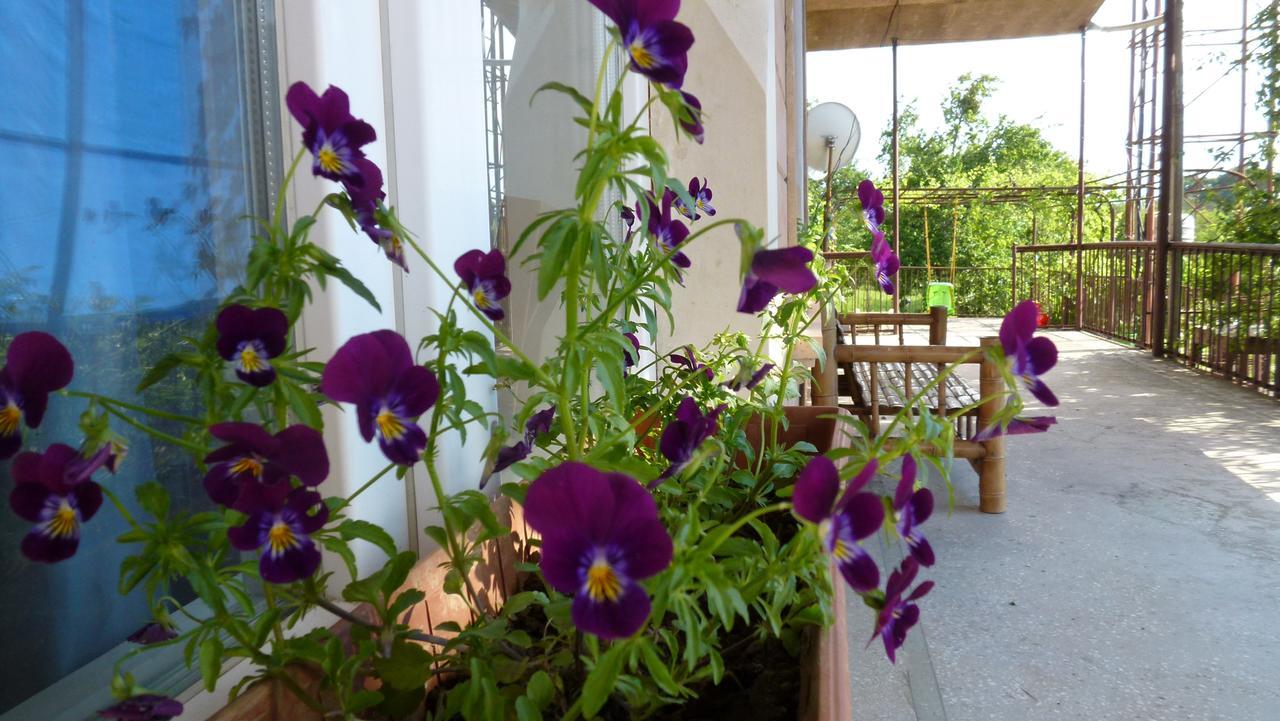 Country House Uliana Ckaltubo Zewnętrze zdjęcie