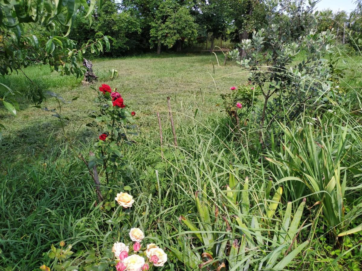 Country House Uliana Ckaltubo Zewnętrze zdjęcie